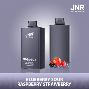 JNR Mega Box 25000 Disposable Vape