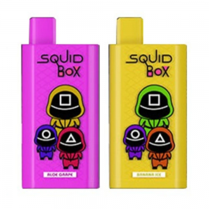 RANDM SQ Box 5200 Disposable Vape
