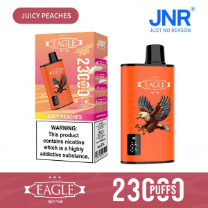 JNR Eagle 23000 Puffs